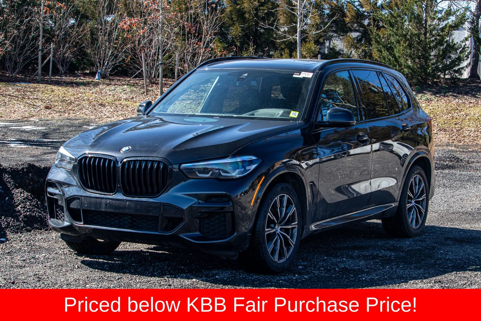2023 BMW X5
