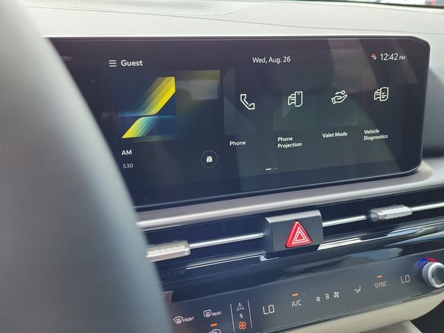 New 2026 Panthera Metal Gray Kia EX image 31