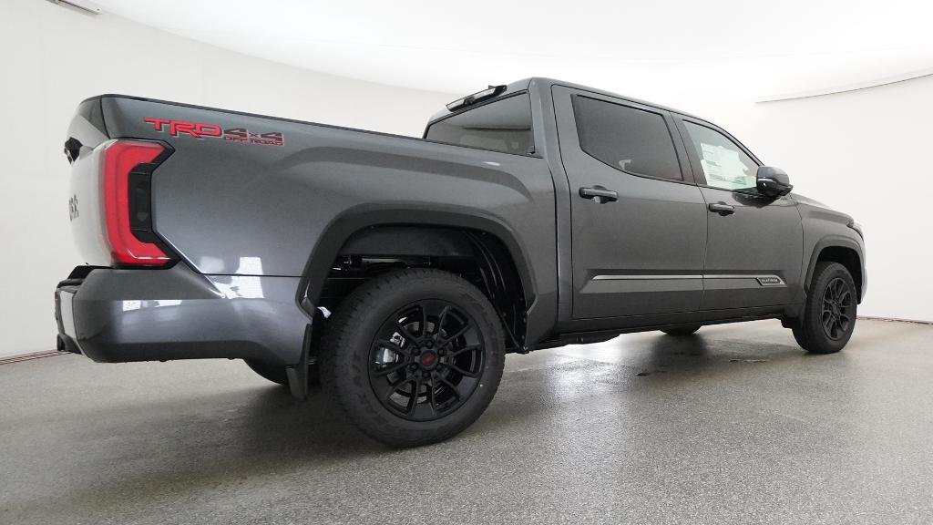 New 2026 Magnetic Gray Metallic Toyota Platinum image 18