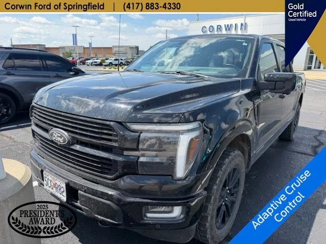 Used 2024 Agate Black Metallic Ford Platinum image 4