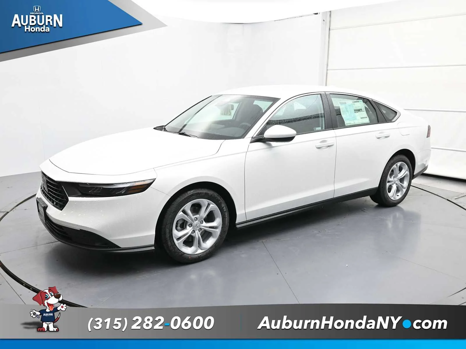 New 2025 Platinum White Pearl Honda LX image 2