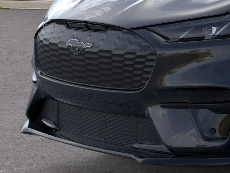 New 2026 Shadow Black Ford Premium image 41