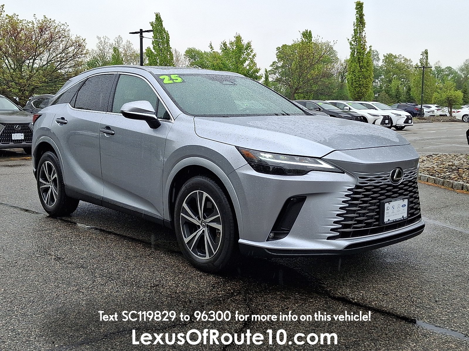 2025 Lexus RX 350 350 Premium AWD's photo