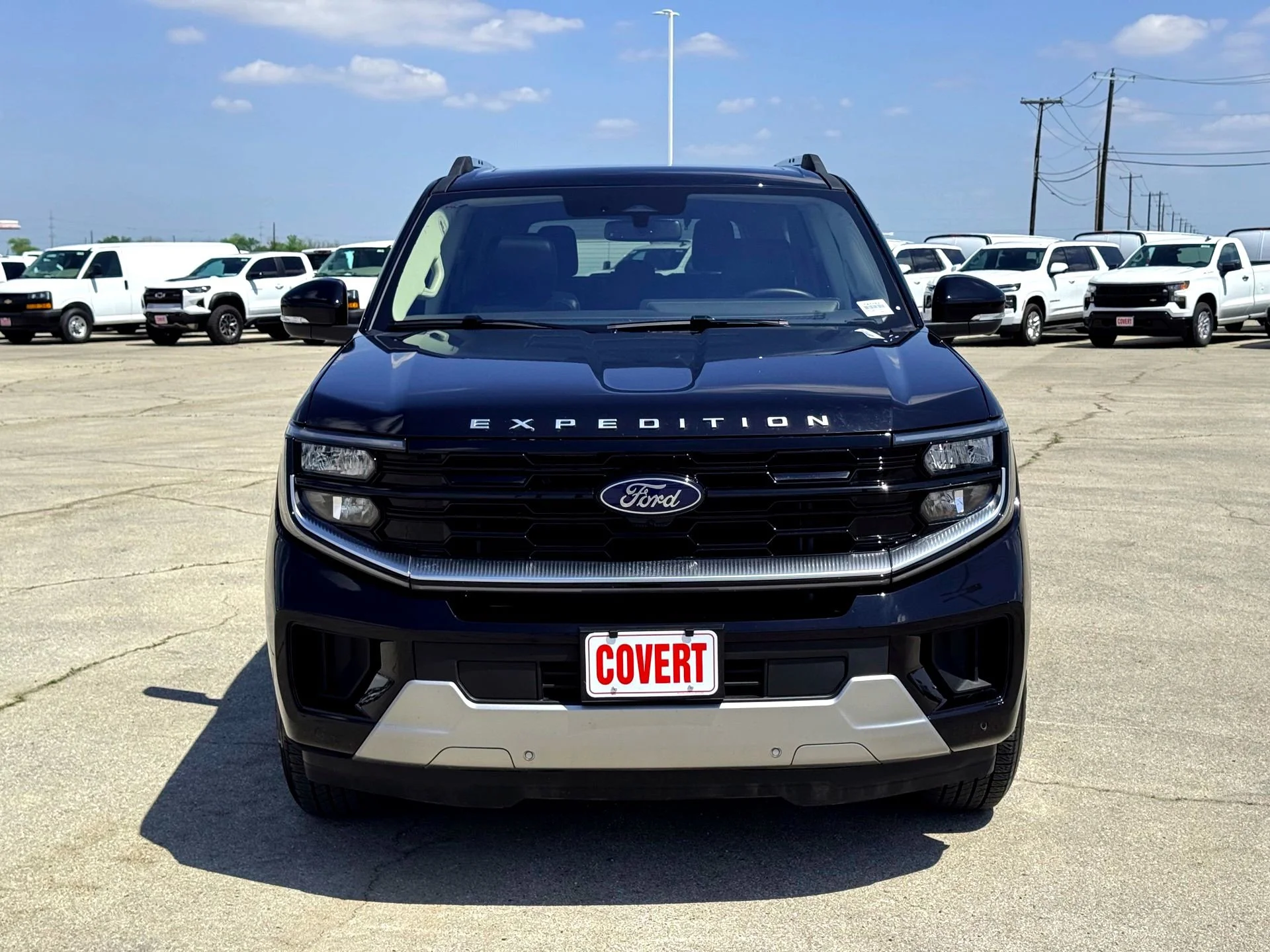 Used 2025  Ford Platinum image 3