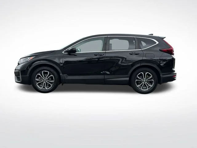Used 2022  Honda EX-L image 5