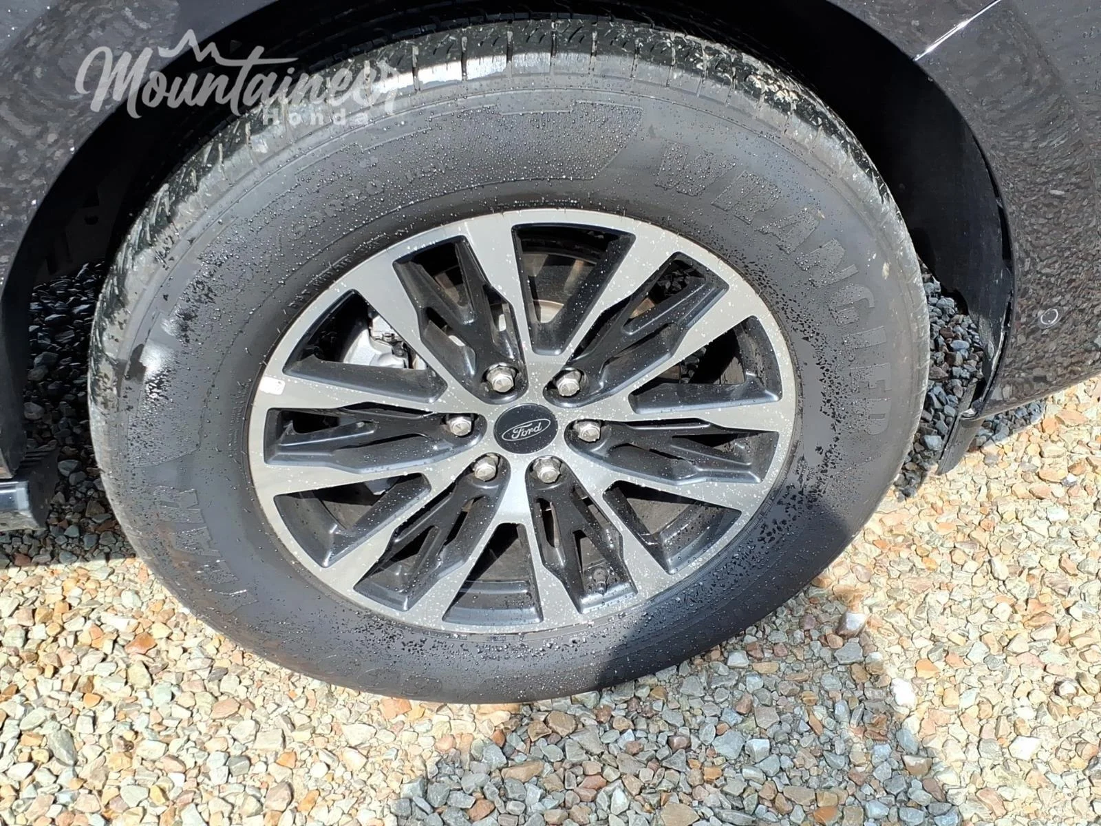 Used 2025 Dark Matter Gray Ford Platinum image 13