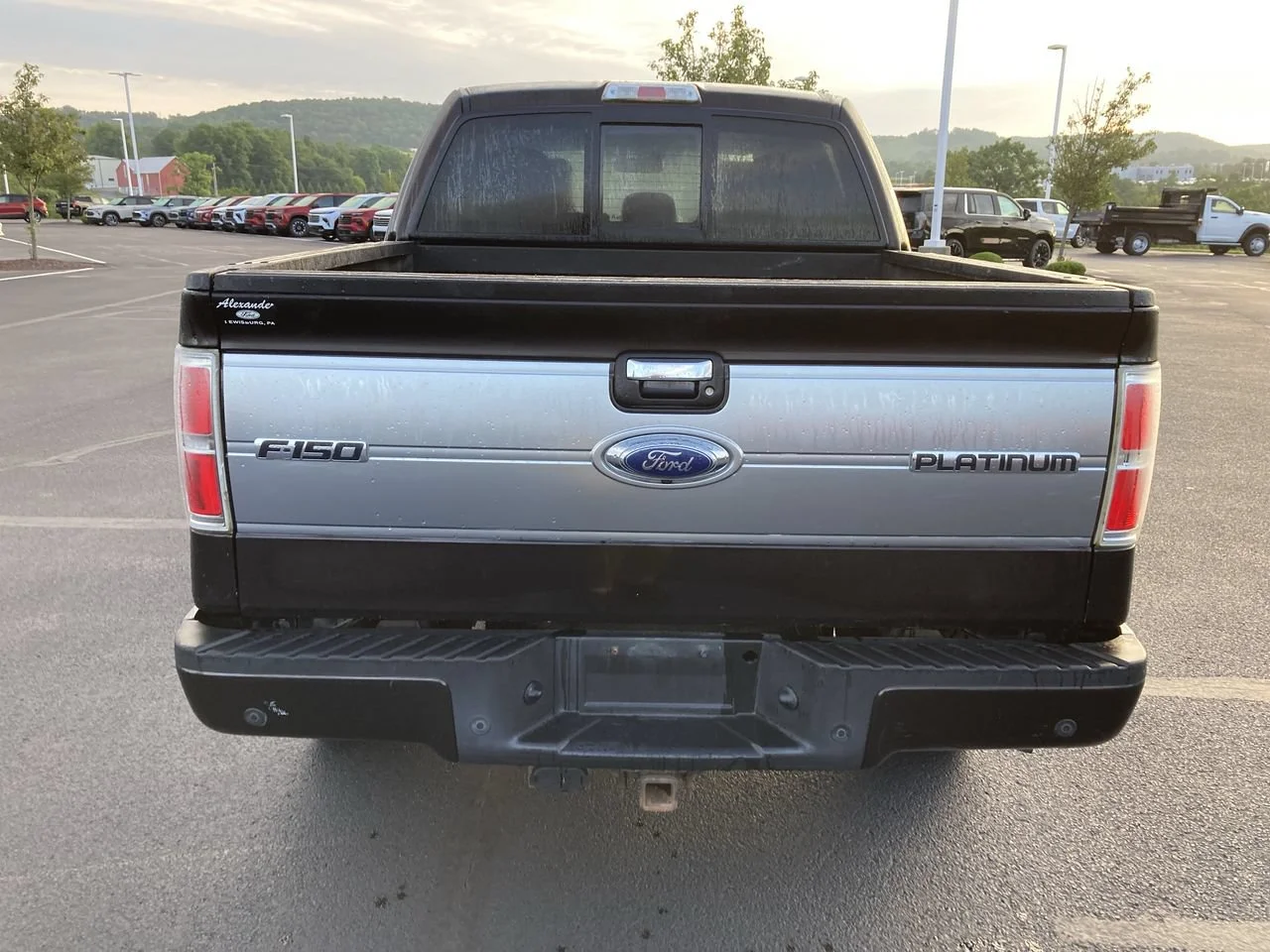 Used 2013 KODIAK BROWN META Ford XL image 6