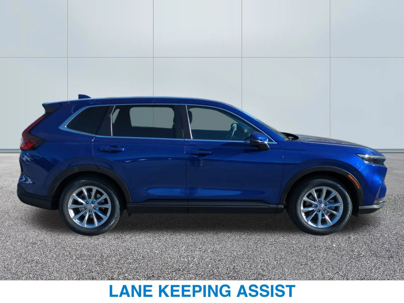 Used 2024 Blue Honda EX-L image 6