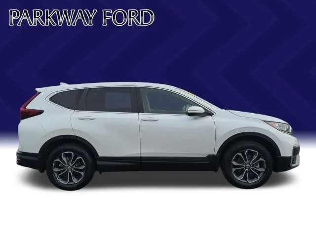 Used 2022  Honda EX-L image 6