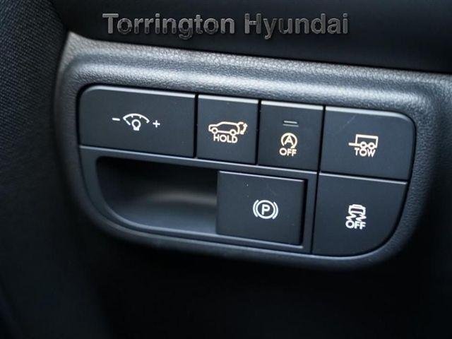 2026 Hyundai Palisade Calligraphy - Photo 21