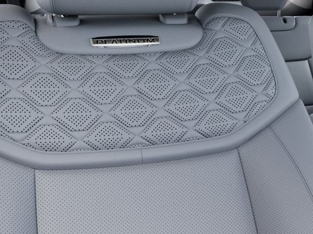 New 2027 Gray Ford Platinum image 16