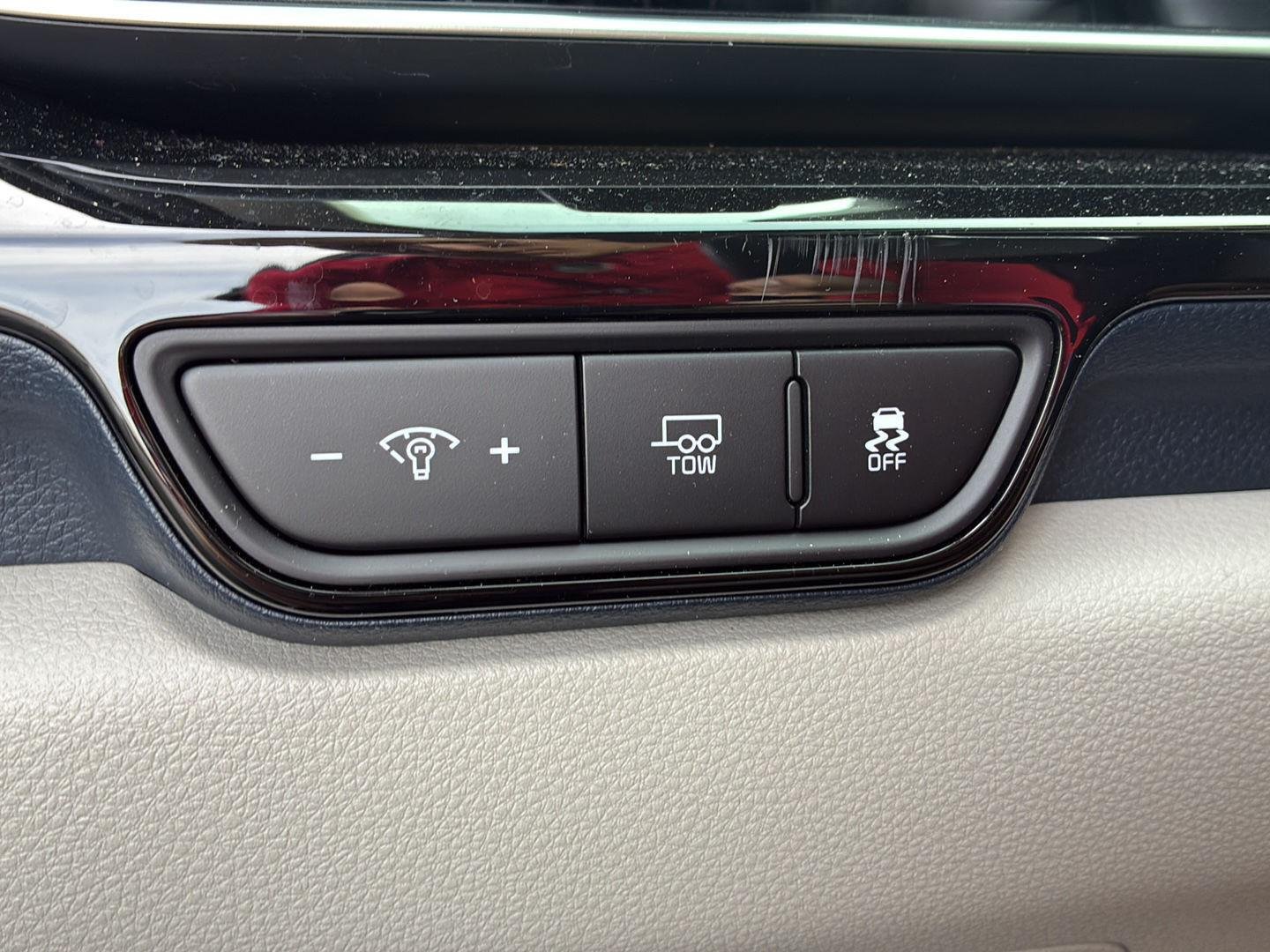 Used 2025 Panthera Metal Kia SX Prestige image 10