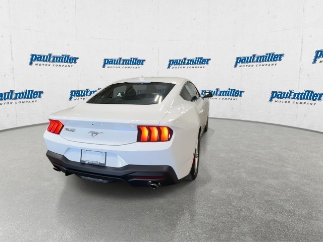 New 2026 Oxford White Ford EcoBoost® Fastback image 10