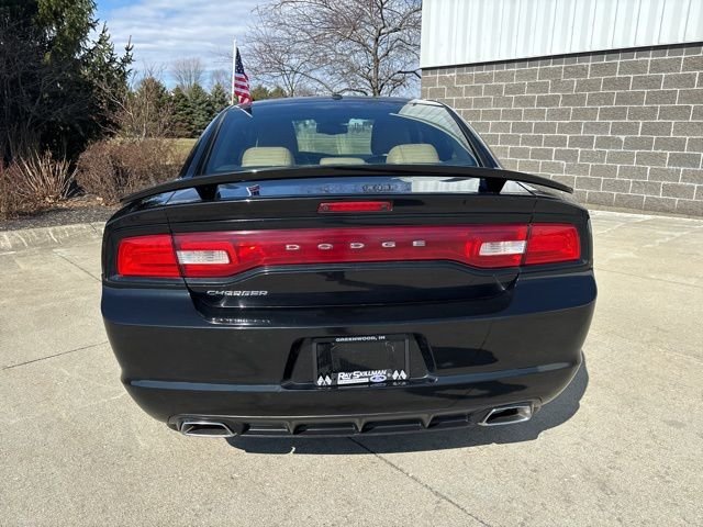 Used 2011 Black Dodge Rallye Plus image 7