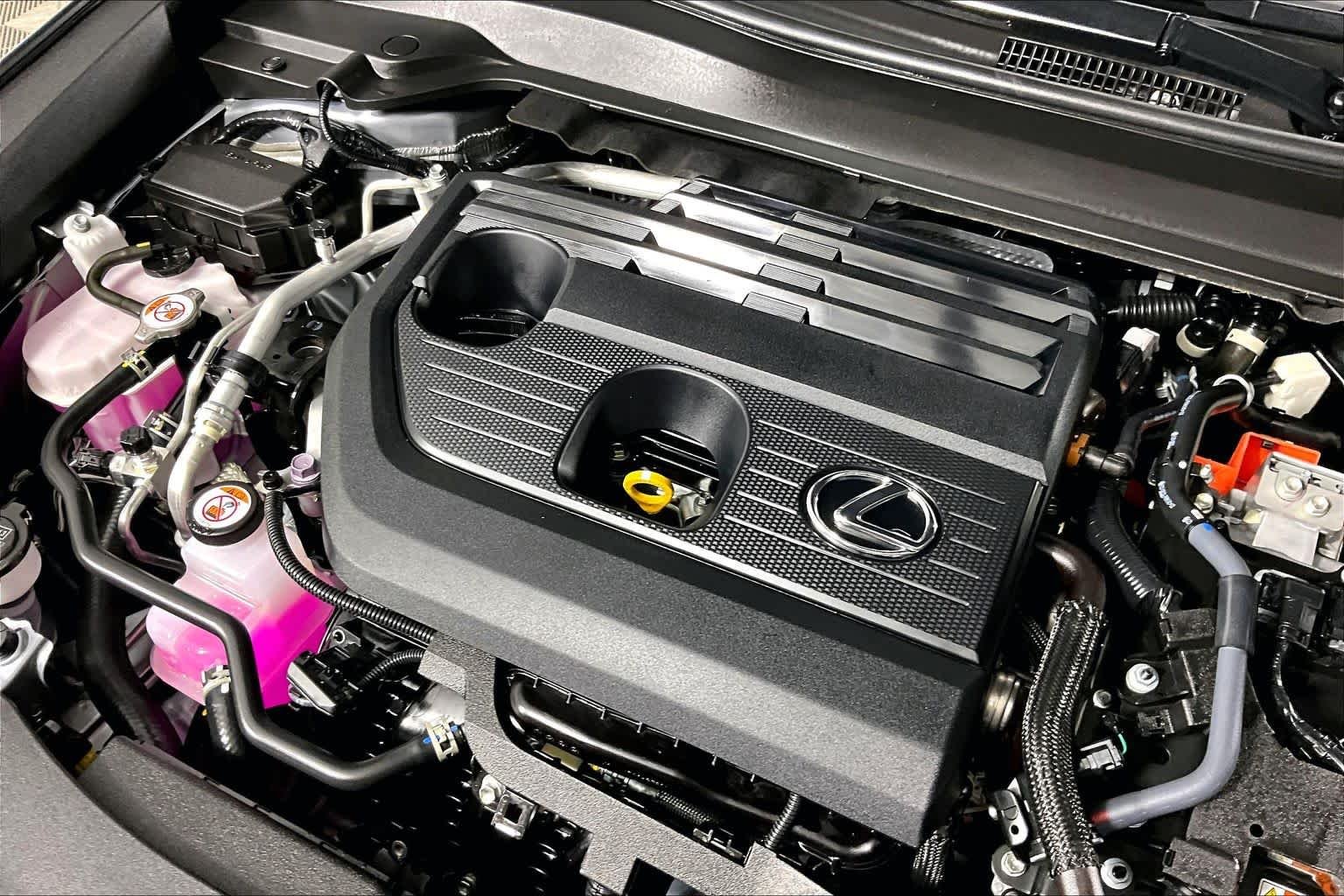 Used 2025 Iridium Lexus Premium image 31