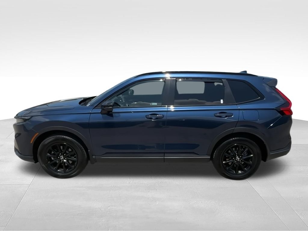 Used 2026 Blue Honda Sport-L image 5