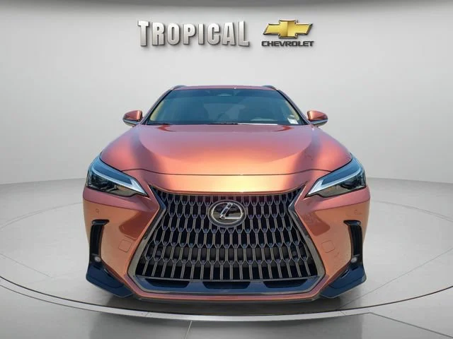 Used 2026 Orange Lexus NX 350 image 8