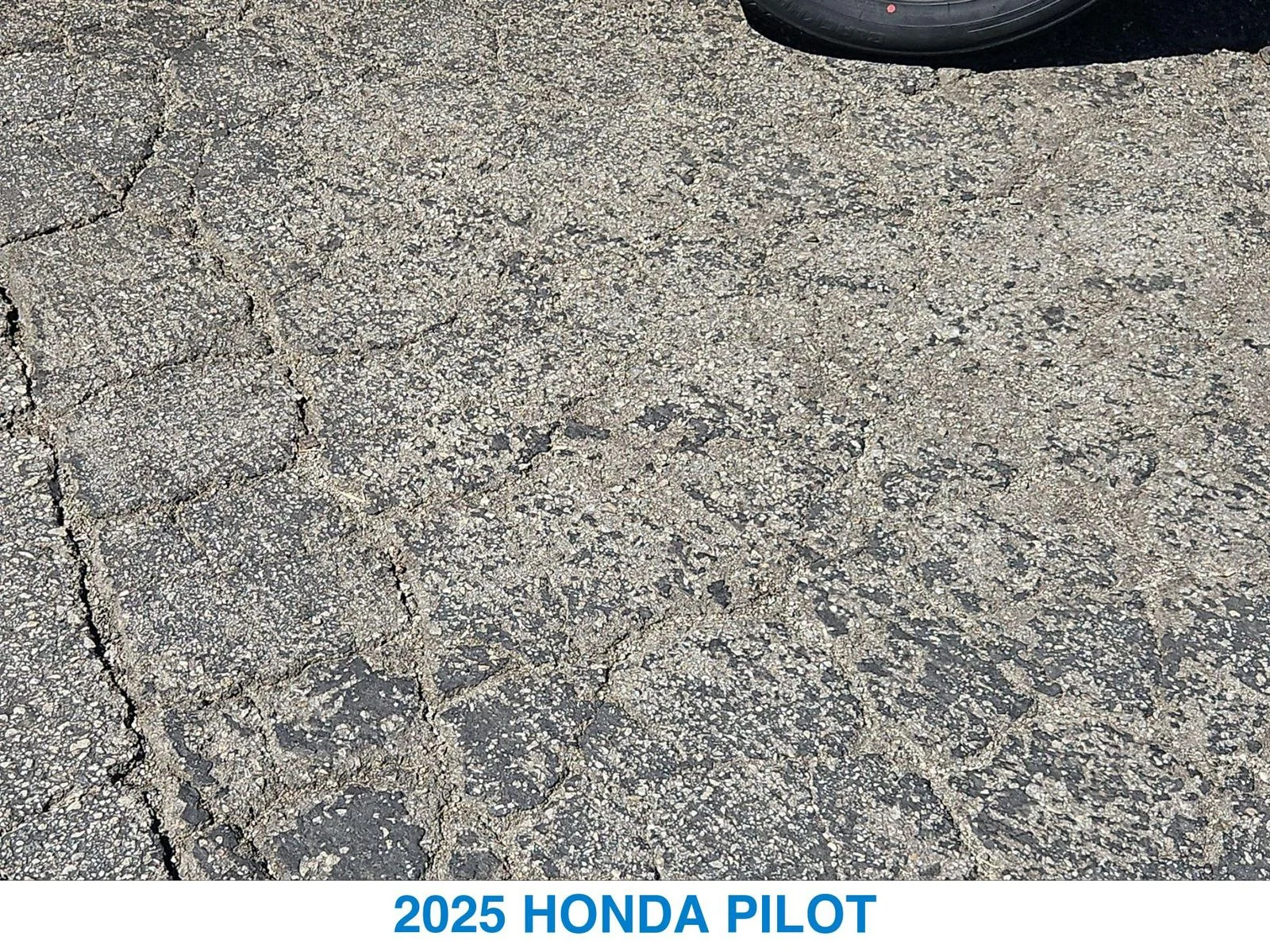 Certified Used 2025 Black Honda Elite image 11