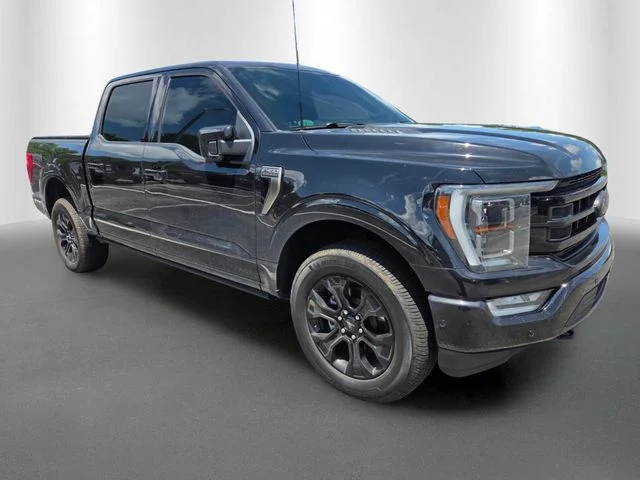 Certified Used 2023 Black Metallic Ford Platinum image 5