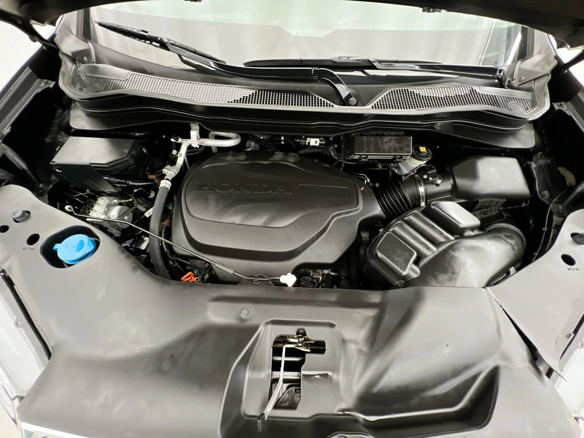 Used 2023 Black Honda RTL image 37