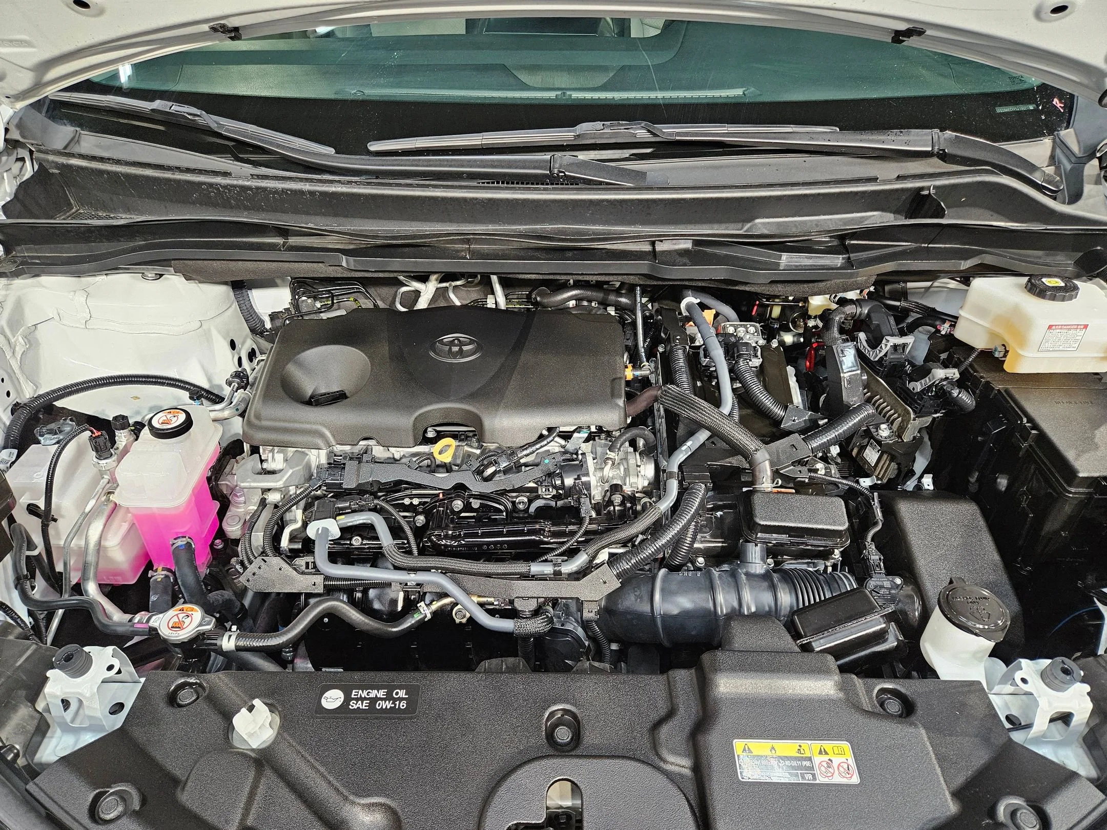 2024 Toyota Sienna Limited - Photo 19