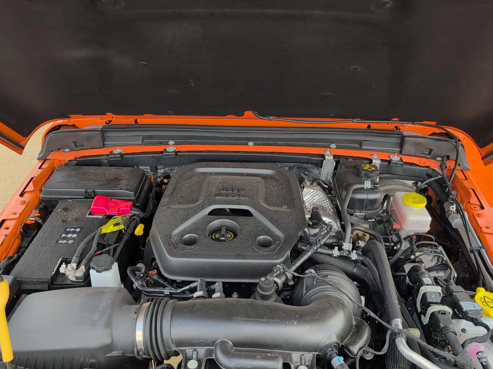 Used 2025 Joose Jeep Sport image 31