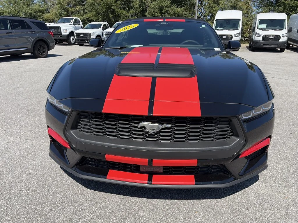 Used 2025 Black Ford EcoBoost Premium image 10