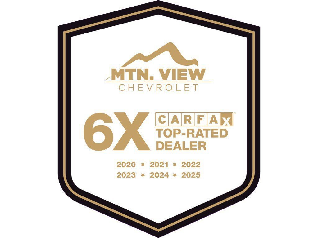 Used 2020 SHADOW GRAY METALLIC Chevrolet LS image 4