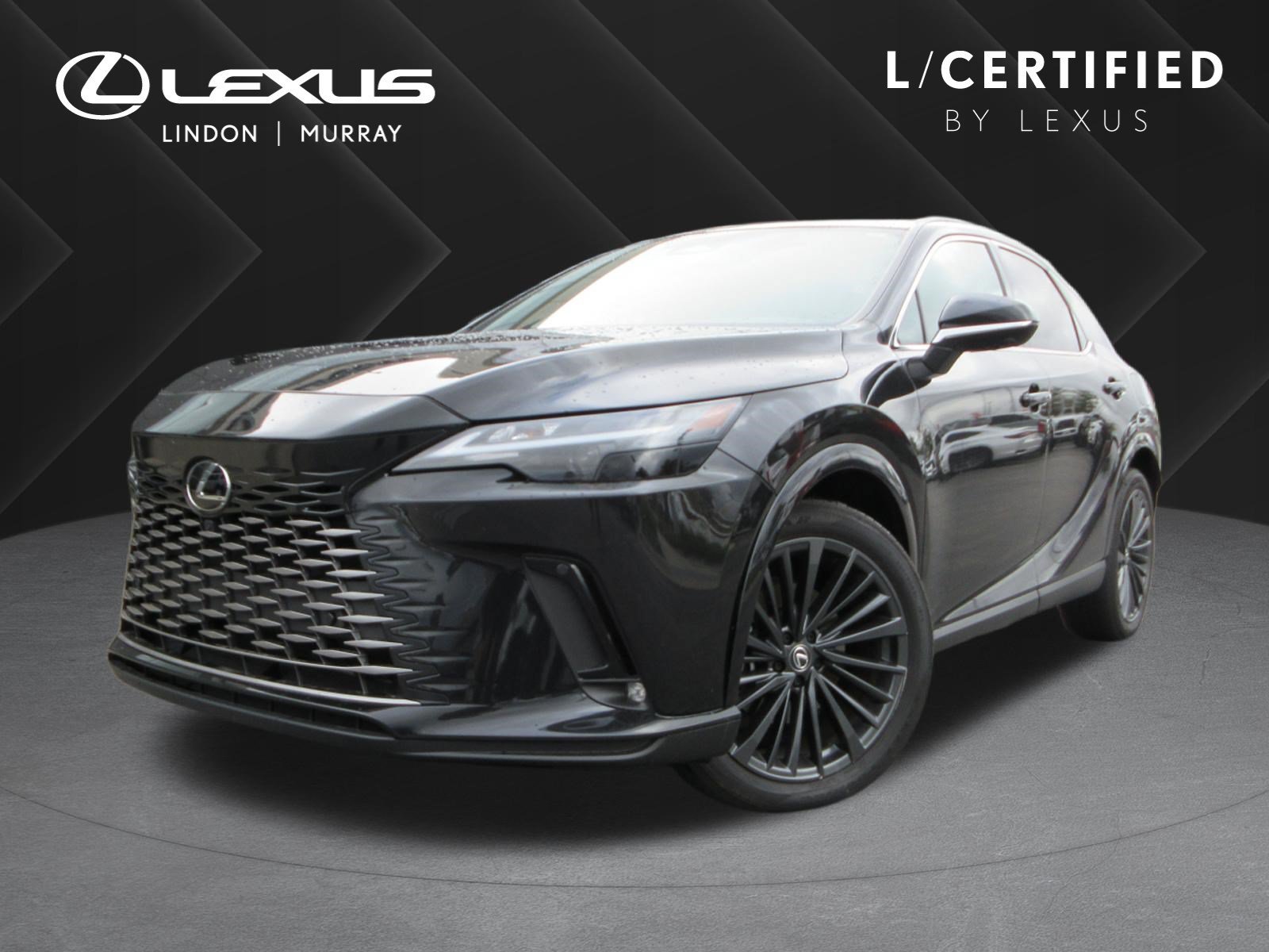 2025 Lexus RX Hybrid