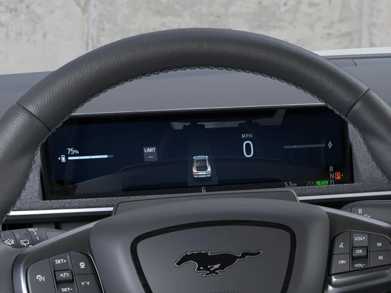 2025 Ford Mustang Mach-E GT - Photo 13