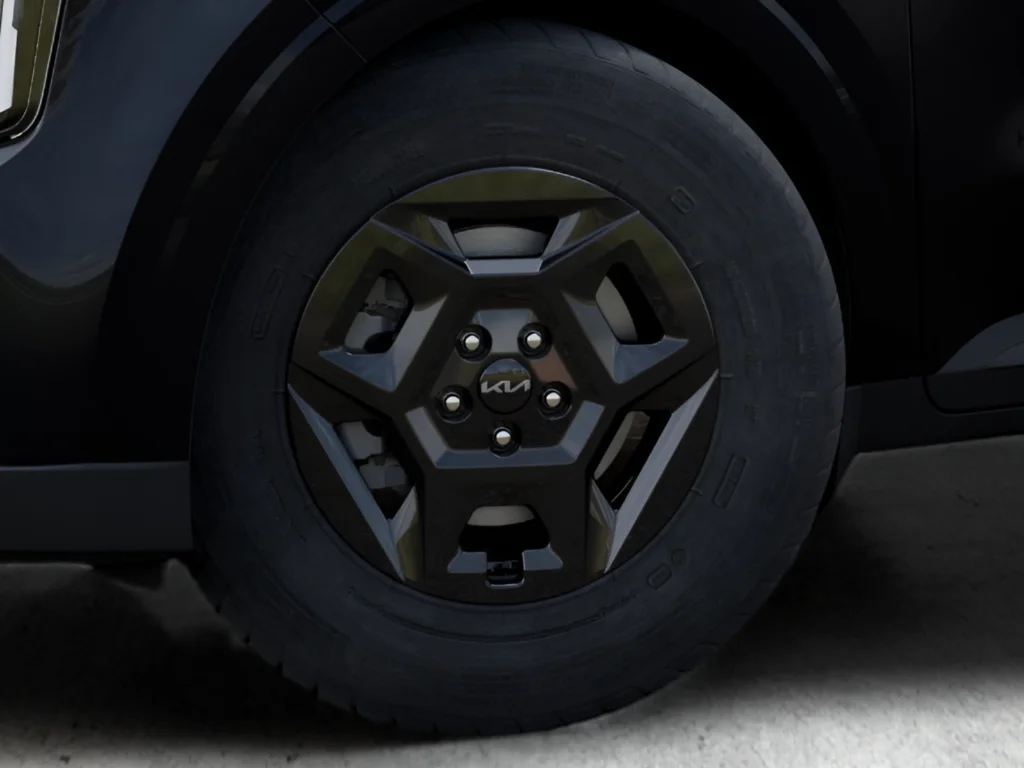 New 2026 Panthera Metal Kia LXS image 24