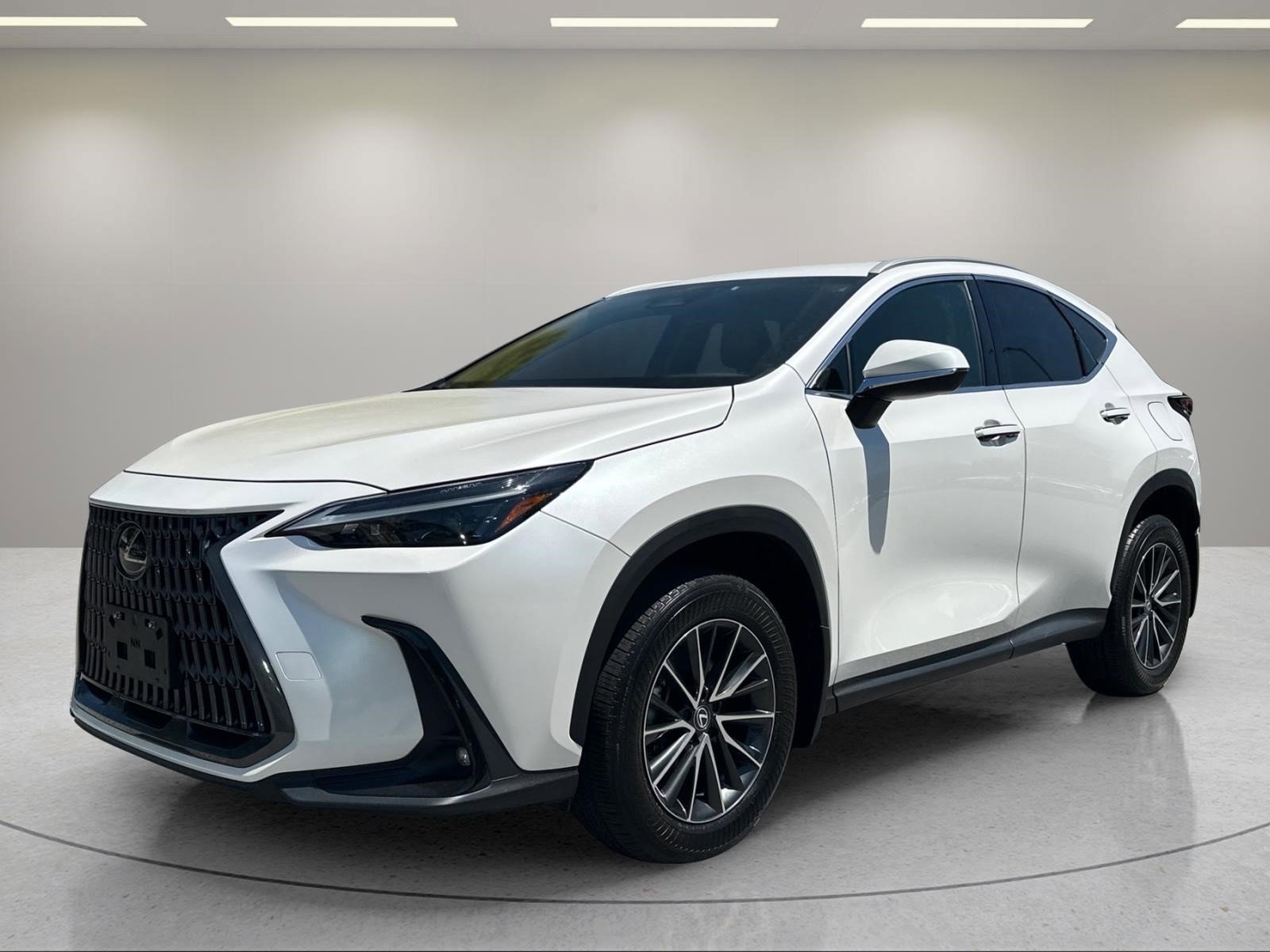 2024 Lexus NX