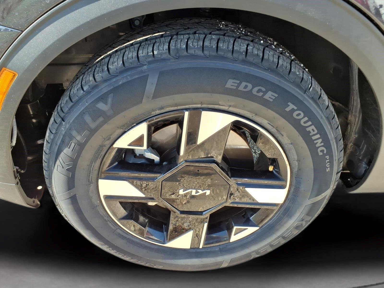 Used 2026 Panthera Metal Kia LX image 9