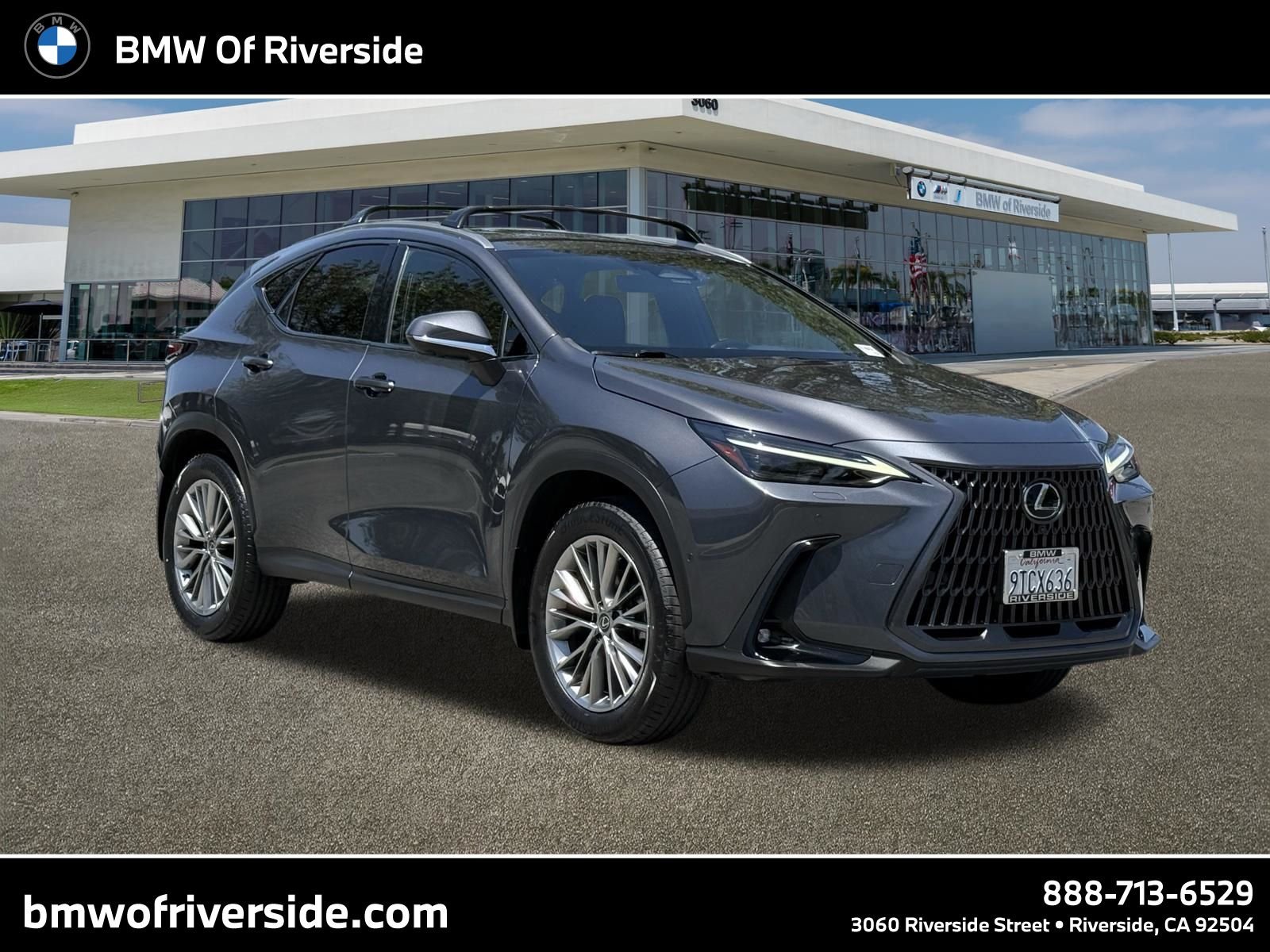 2024 Lexus NX 350h 350h Luxury AWD's photo