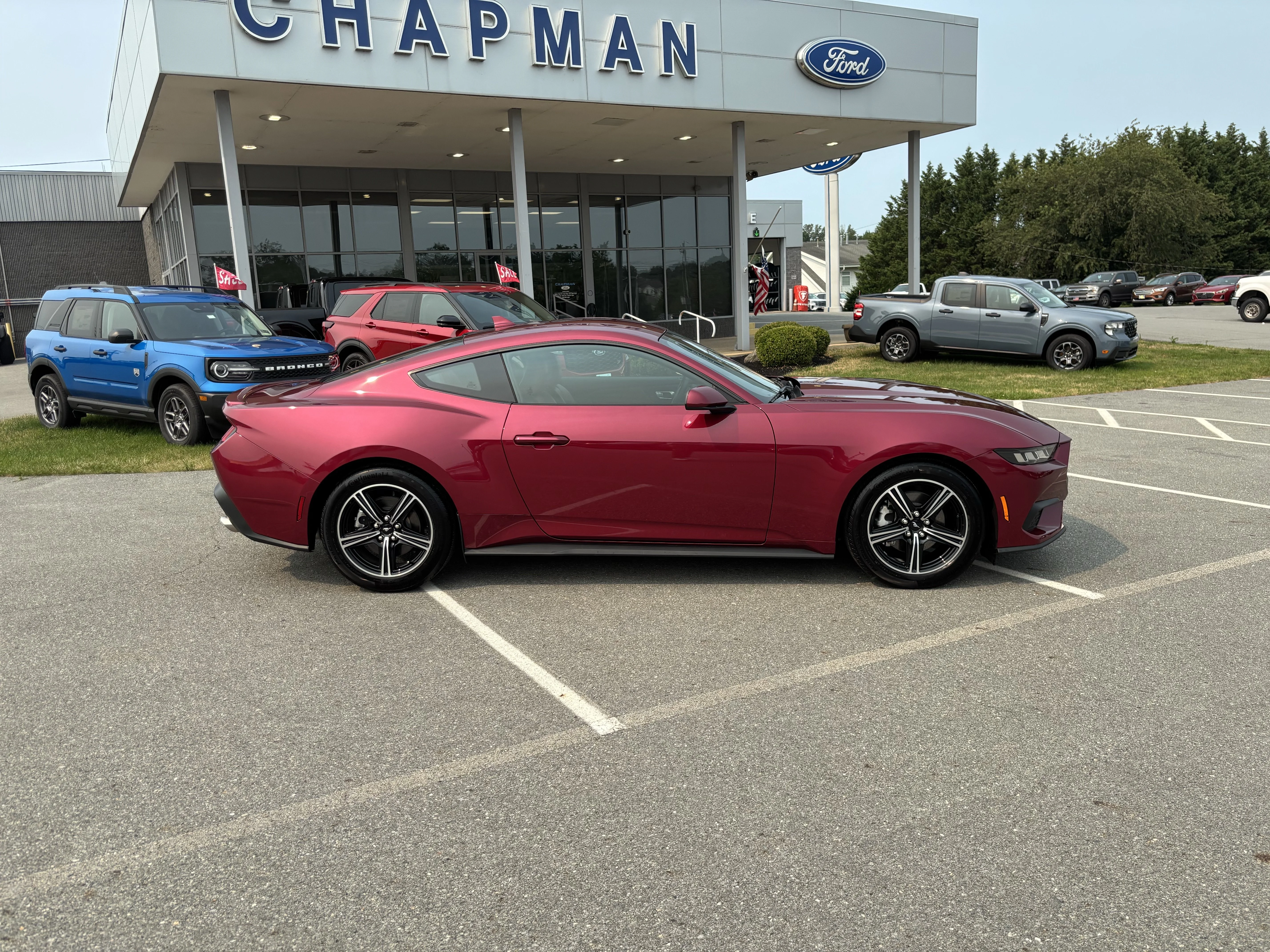 Used 2025 Magenta Ford EcoBoost Premium image 6