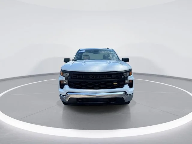 Used 2025 White Chevrolet WT image 3