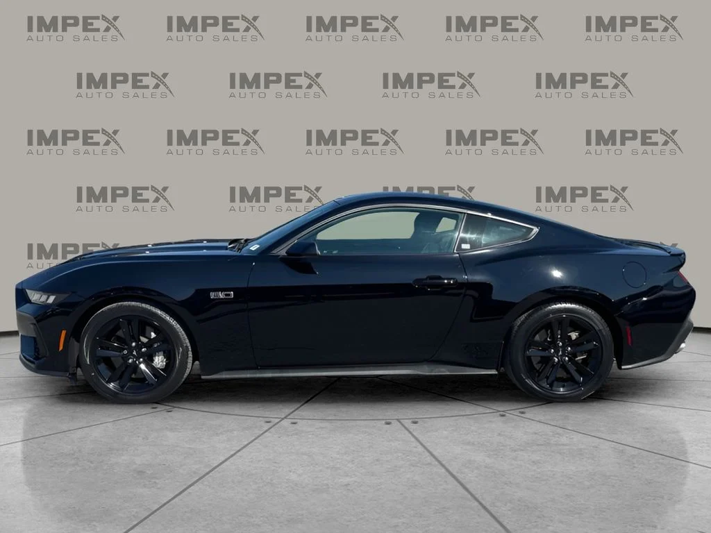 Used 2024 Black Ford GT image 2