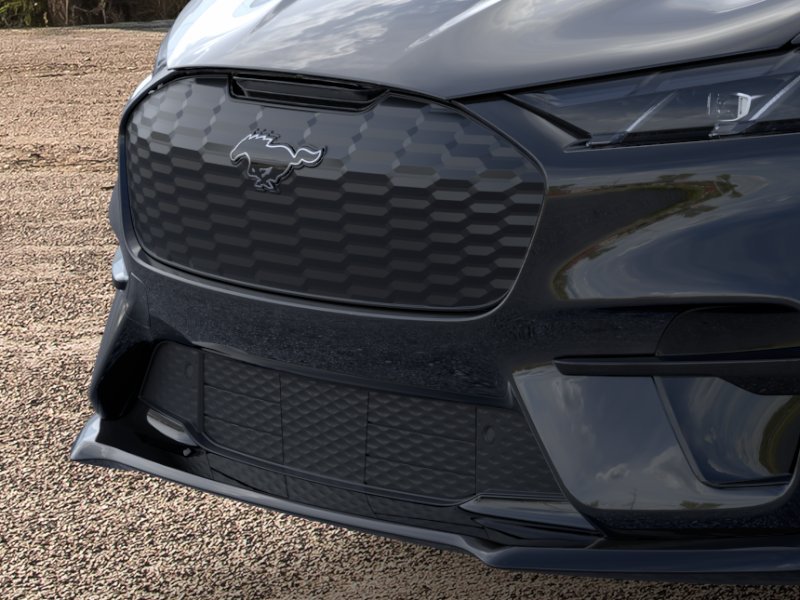 New 2026 Shadow Black Ford Premium image 45