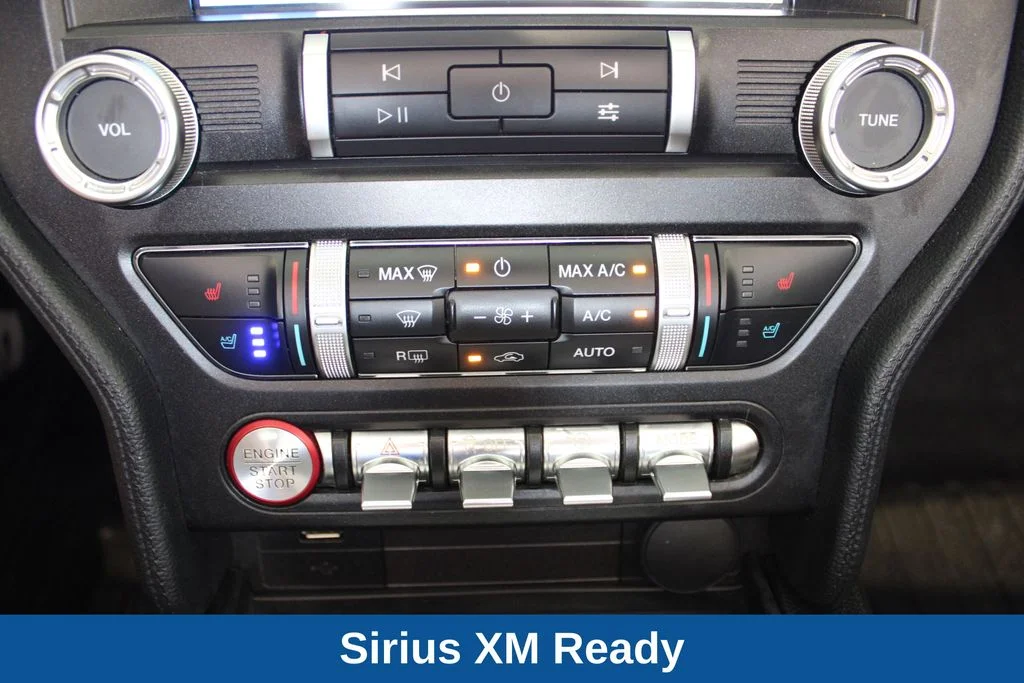 Used 2019 Silver Ford EcoBoost Premium image 10