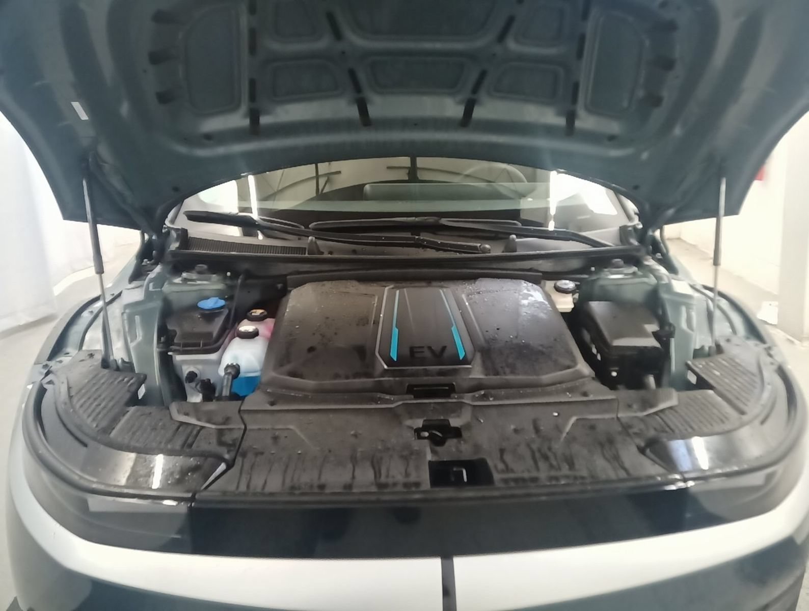 Used 2024 Green Hyundai SEL image 7
