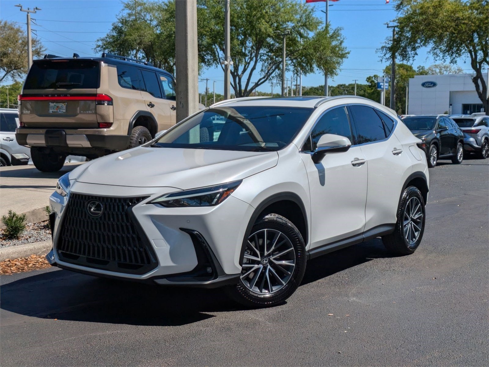 2025 Lexus NX 250
