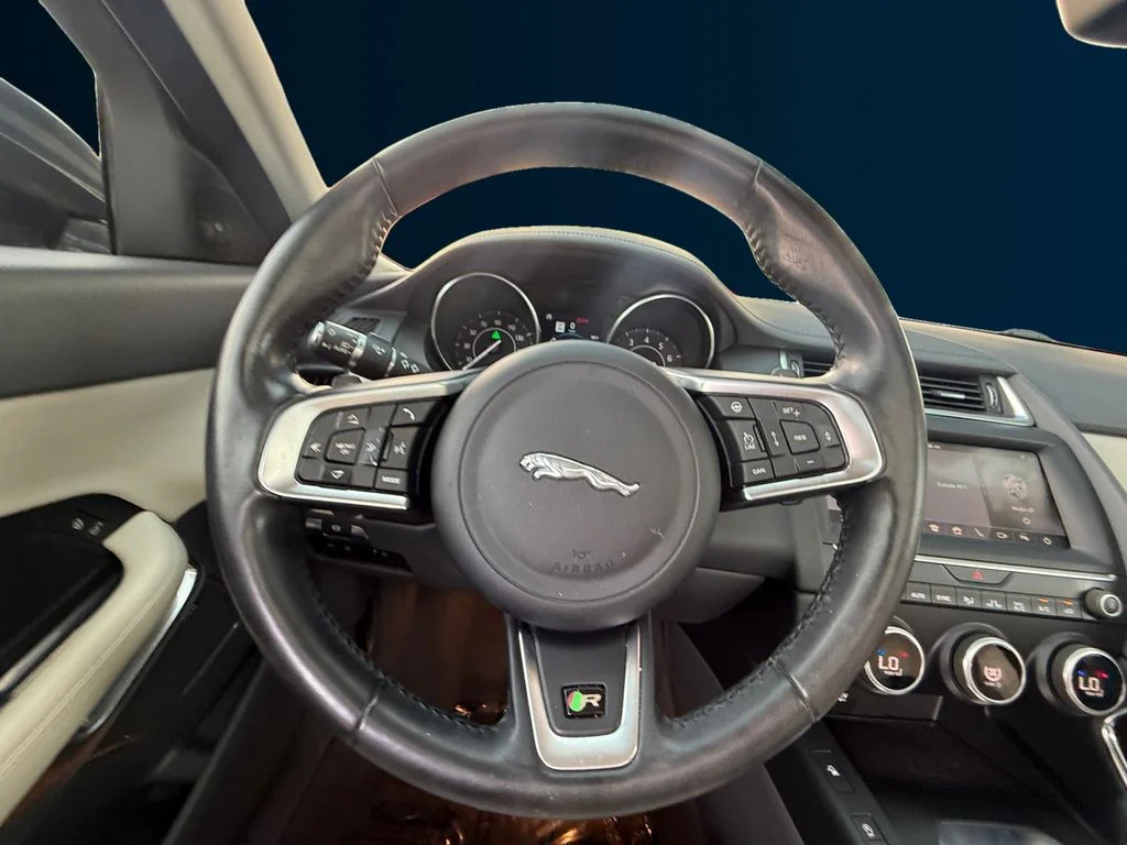Used 2019 White Jaguar S image 6