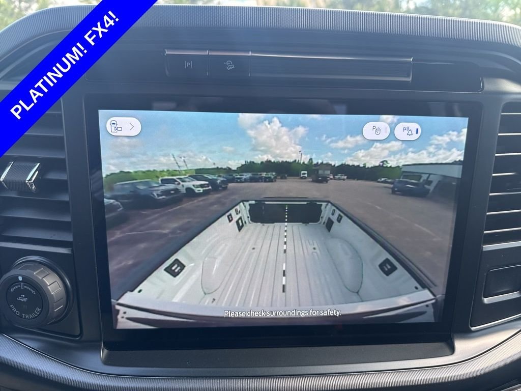 2025 Ford F-150 Platinum - Photo 48