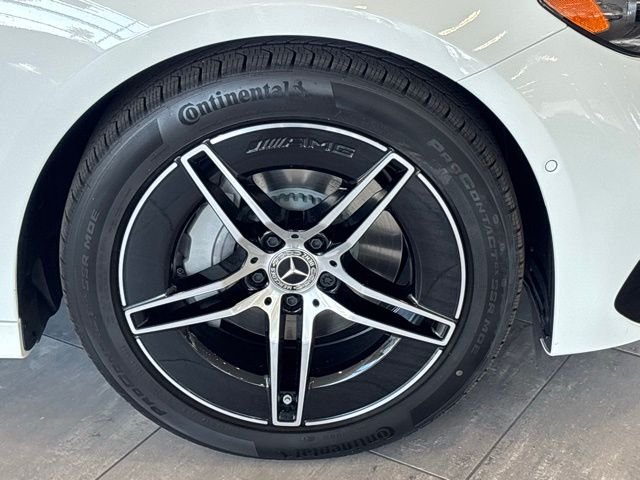 2025 Mercedes-Benz E-Class E350 - Photo 34