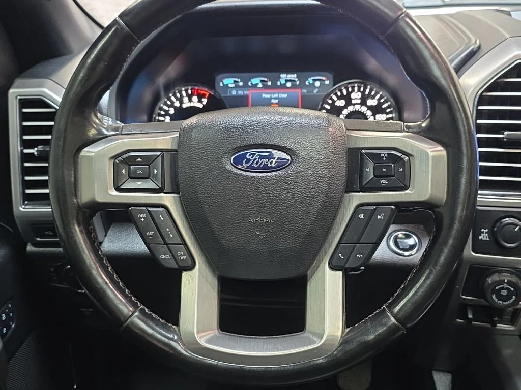 Used 2020 Black Ford Platinum image 18