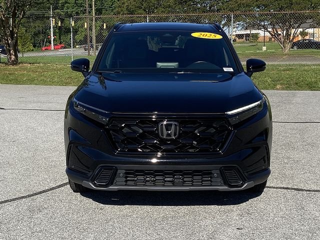Used 2025  Honda Sport-L image 3