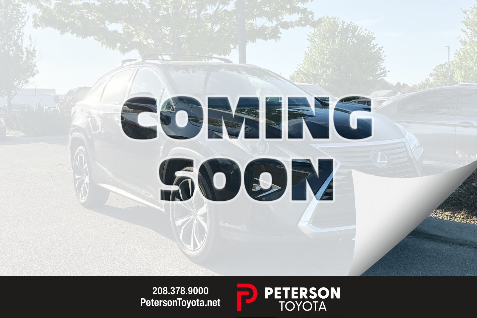 2016 Lexus RX 350 350 4x4's photo