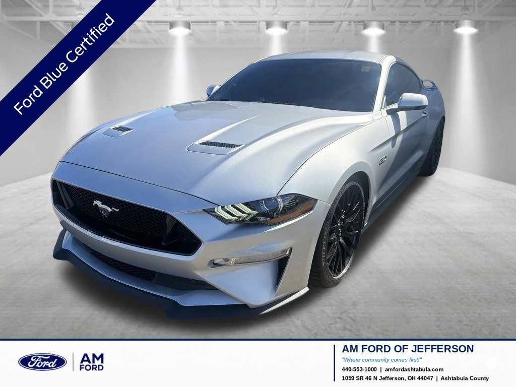 Used 2019 Ingot Silver Ford GT Premium image 1