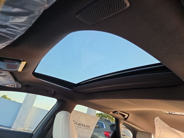 New 2026 Iridium Lexus PREMIUM image 22
