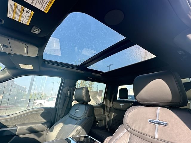 2025 Ford F-150 Platinum - Photo 56